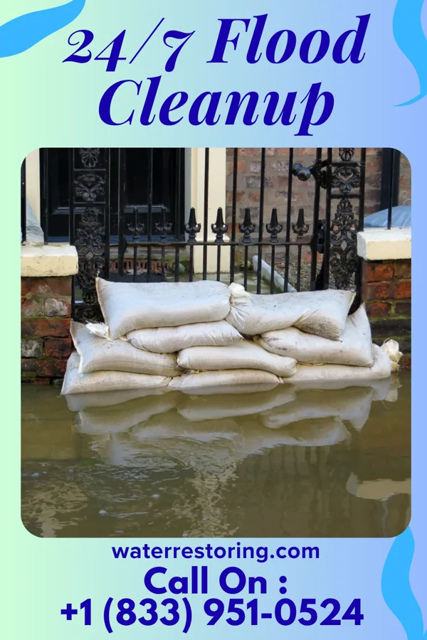 24/7 Flood Cleanup in Bosworth, MO