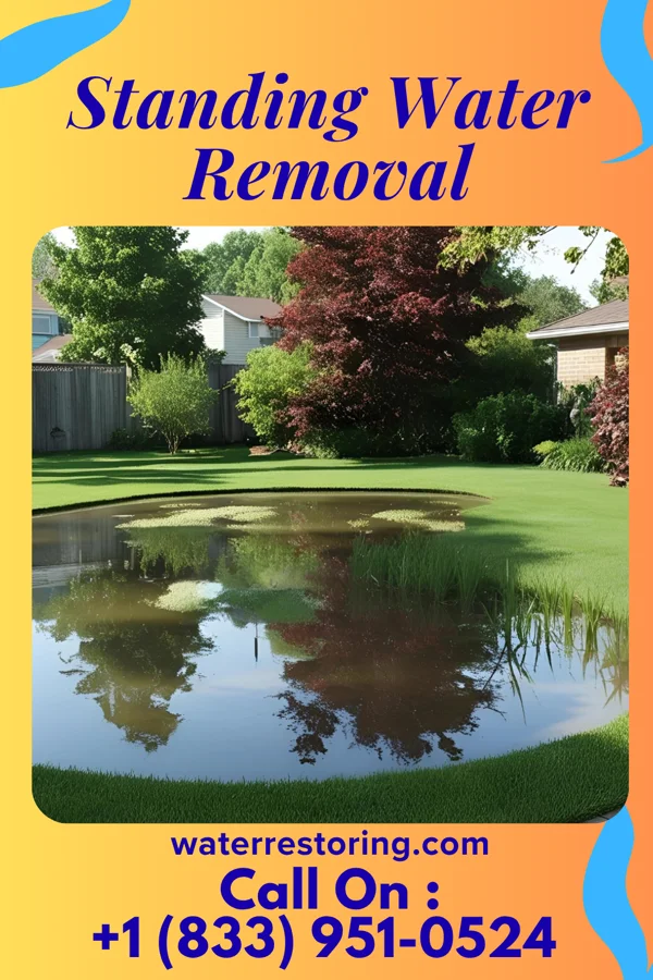 Standing Water Removal in Bosworth, MO